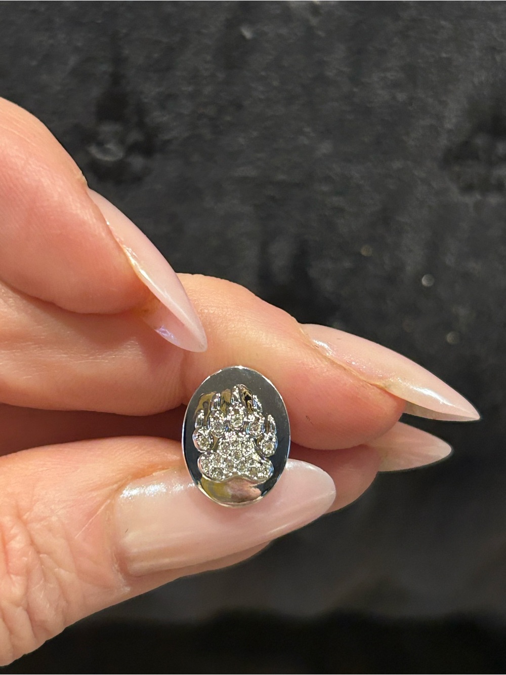 Swarovski SCS Annual Edition 2017 “Arcadia" bear claw tac pin